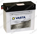 Мотоаккумулятор Varta FP 519 013 017 (BMW)